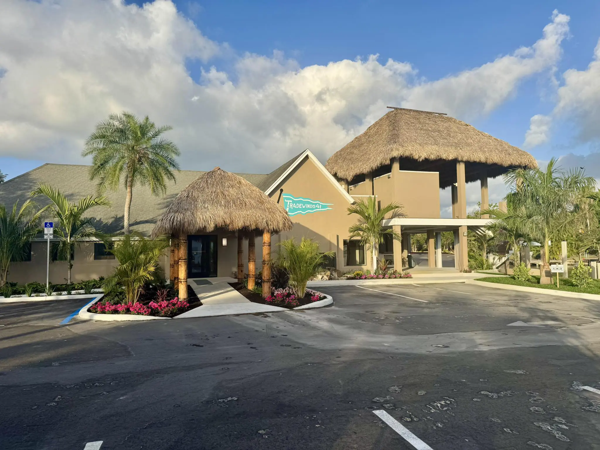 Tradewinds 41